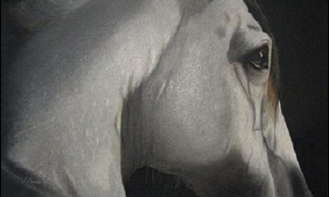 Caballos