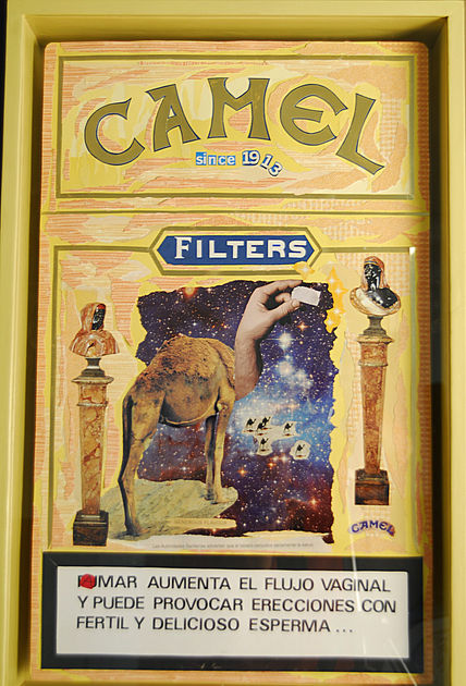Camel