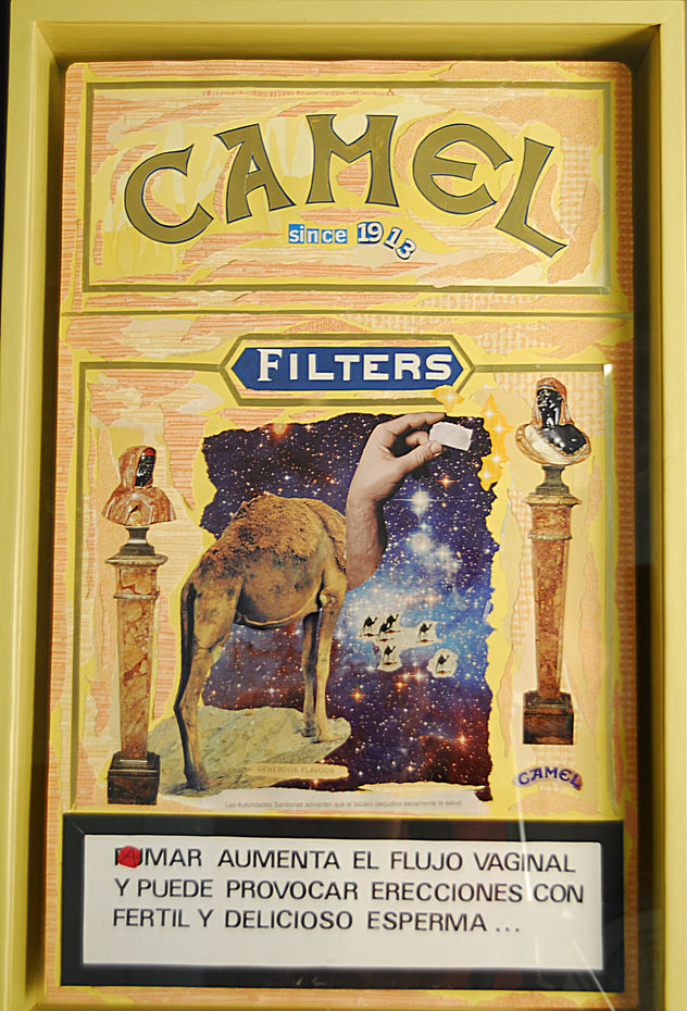 CAMEL