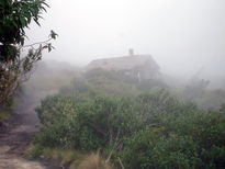 Casa En La Niebla