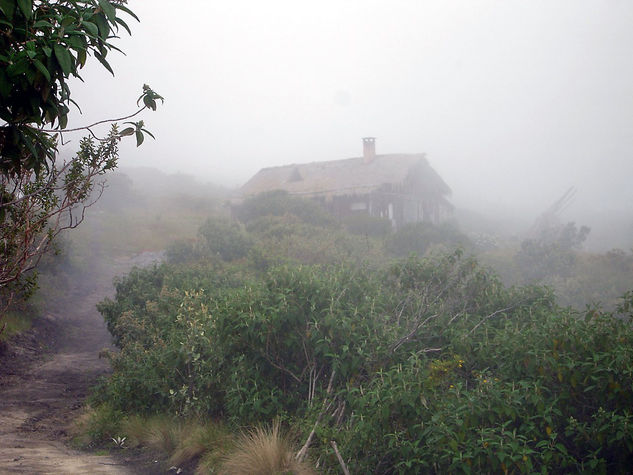 Casa En La Niebla Naturaleza Color (Digital)