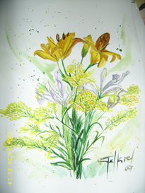 Flores