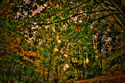 Otoño
