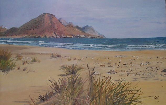 Cabo de Gata Óleo Lienzo Paisaje