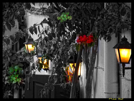 Luces