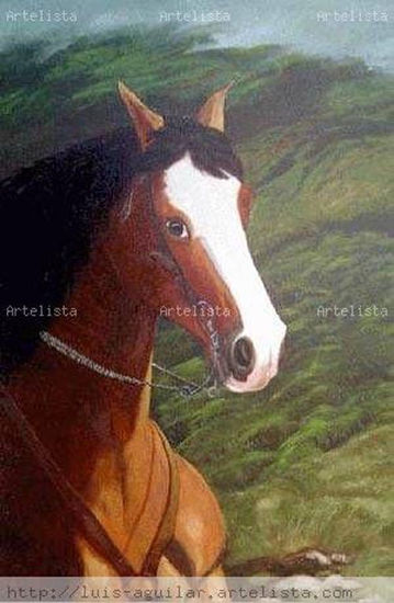 NAPOLEÓN 2 Oil Canvas Animals