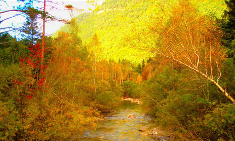 otoño 2007