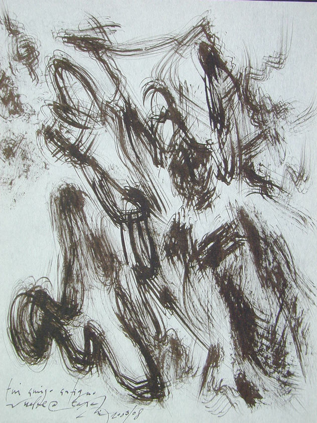 sinfonia visual 11