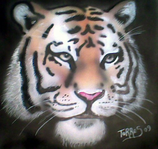 TIGRE 