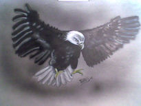 Aguila