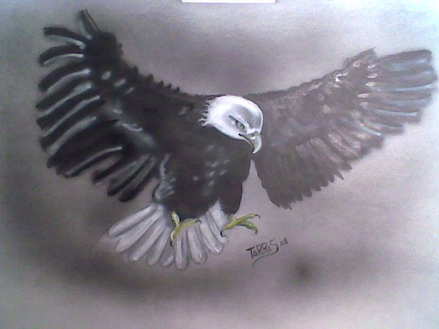 AGUILA 