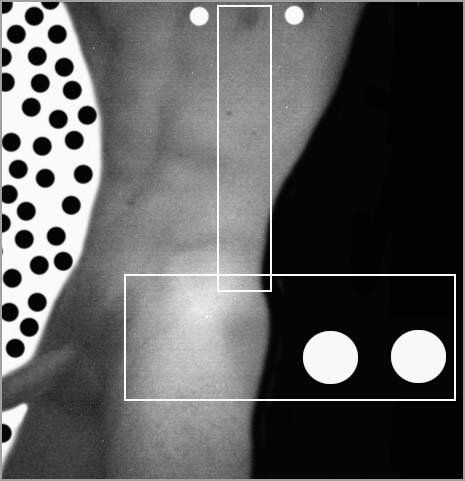 Homenaje a Mapplethorpe 3