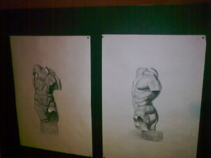 Torso