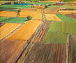 CAMPOS DE CASTILLA.