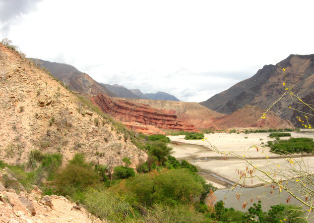 Valle del olvido Travel Color (Digital)