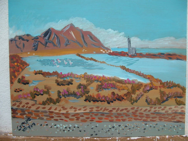 Salinas de Cabo de Gata , óleo sobre madera 50x60 cm. autor Crespo Oil Panel Landscaping