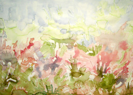 Paisaje4