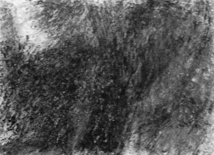 Nebulosa