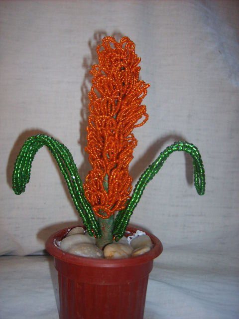 La flor de  Lilio