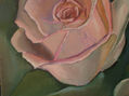 rosa y juventud