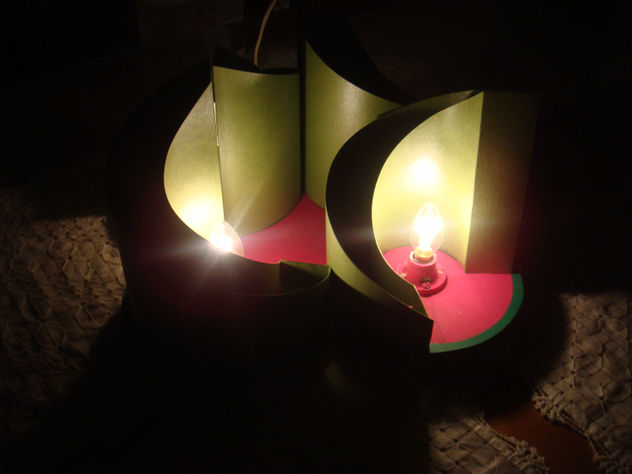 lampara organica 2