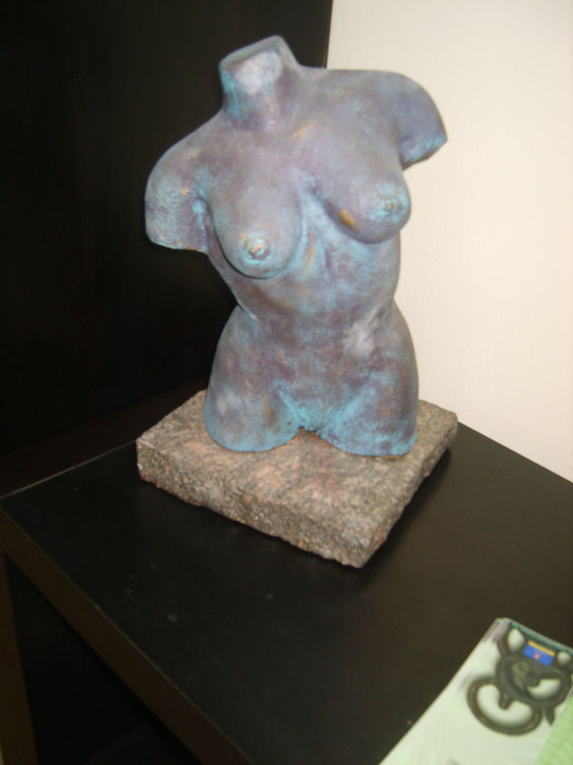 torso