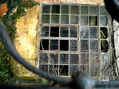 VENTANA