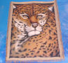 leopardo