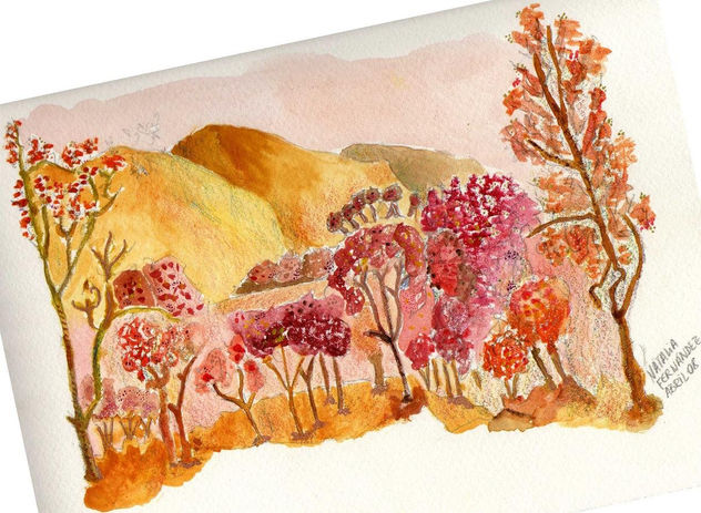 El paisaje de lo que perdí / Landscape of what I have lost