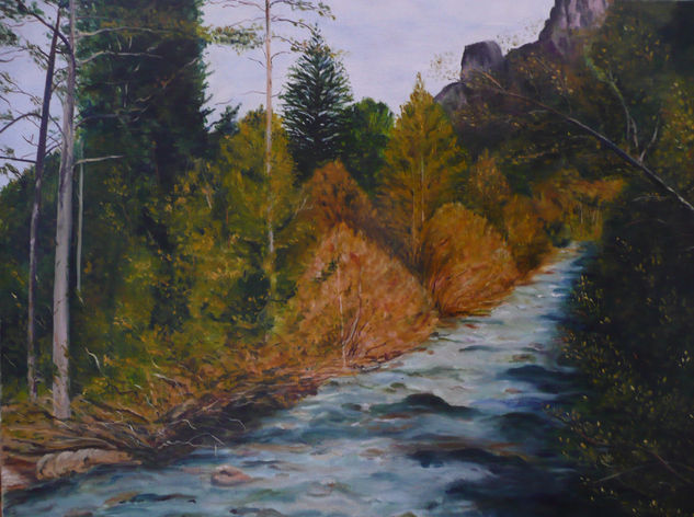 Rio Ara (Valle de Ordesa) Oil Canvas Landscaping