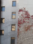 Lo urbano y la naturaleza / The urban and the nature