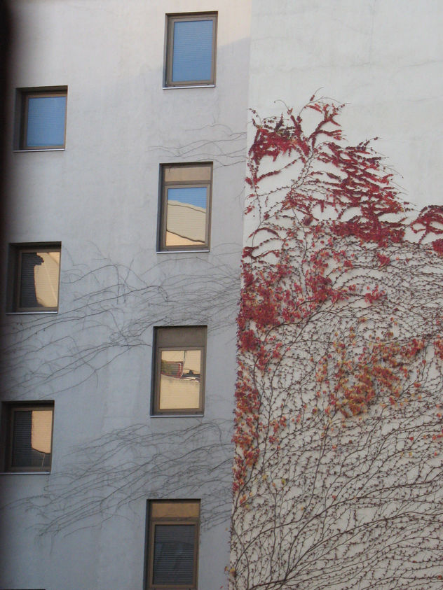 Lo urbano y la naturaleza / The urban and the nature