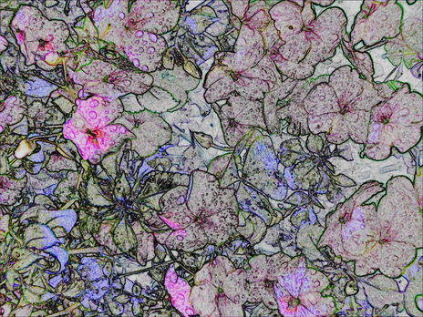 Flores petrificadas...