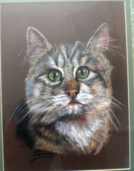 "Gato guapo"