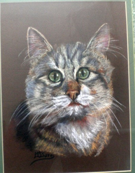 "Gato guapo"