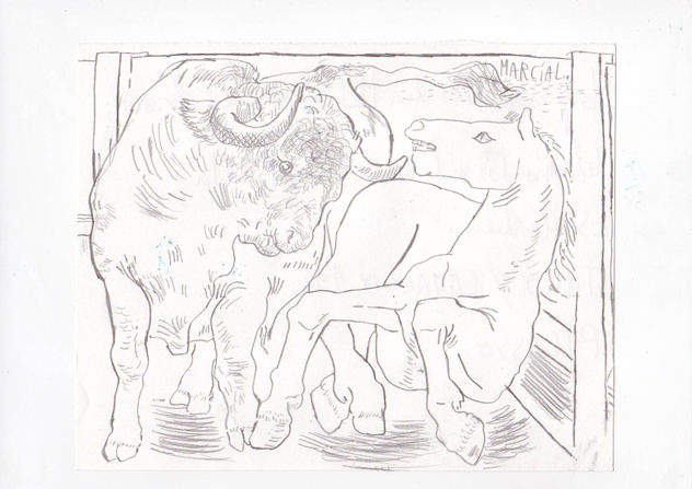 PICASO (2)