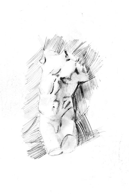 Torso