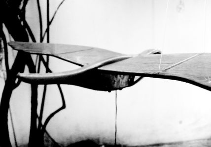 Querer Volar