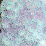 NATURE COLOURS thumbnail 1