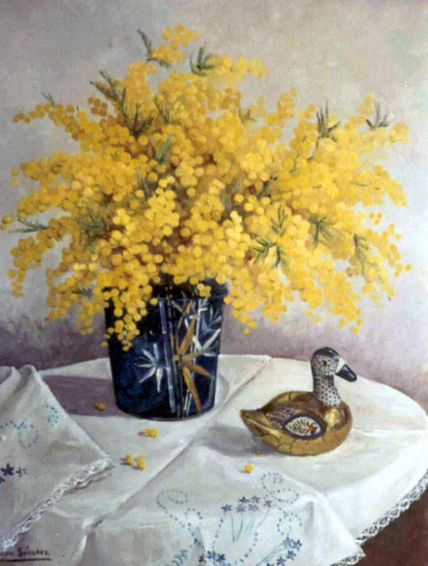 Mimosa