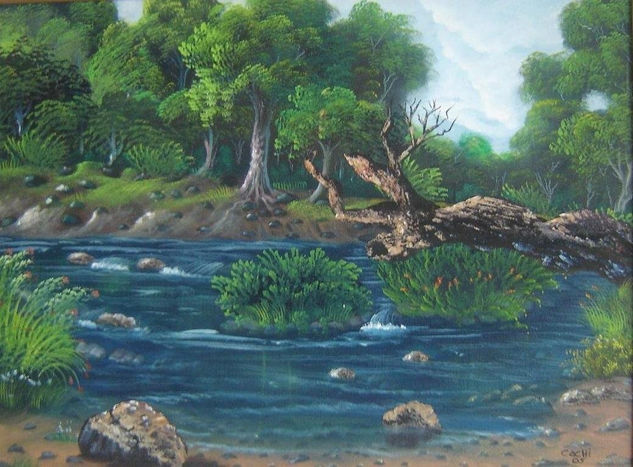 Riachuelo I Oil Canvas Landscaping