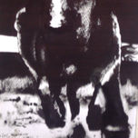 TAUROMAQUIA thumbnail 1