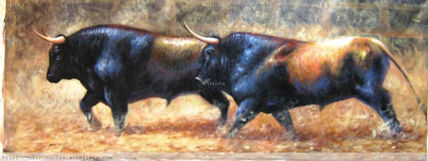 Toros de sincelejo