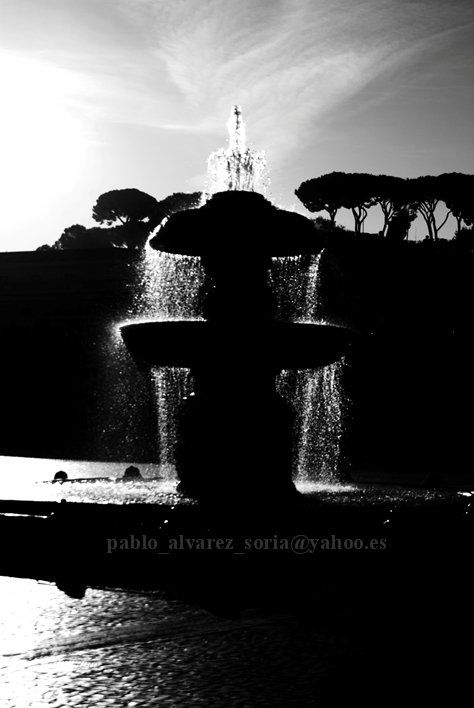 FUENTE VATICANA
