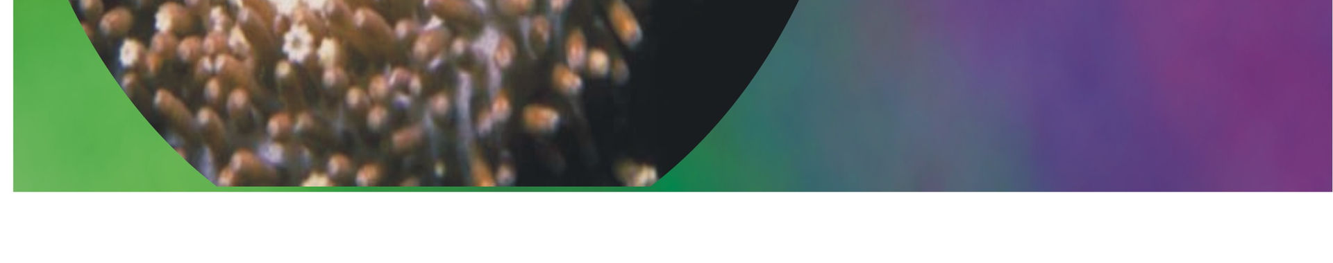 Imagen de portada