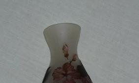 Mi coleccion