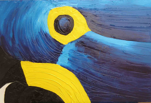 ojo12
