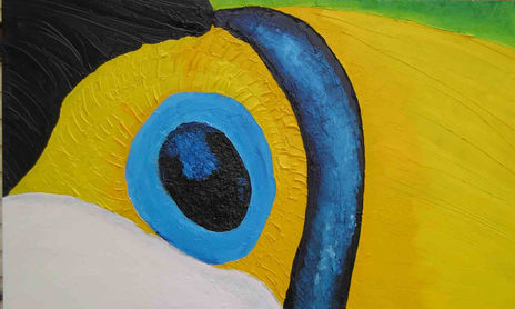 serie ojos