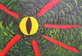 ojo09
