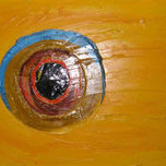 serie ojos thumbnail 1